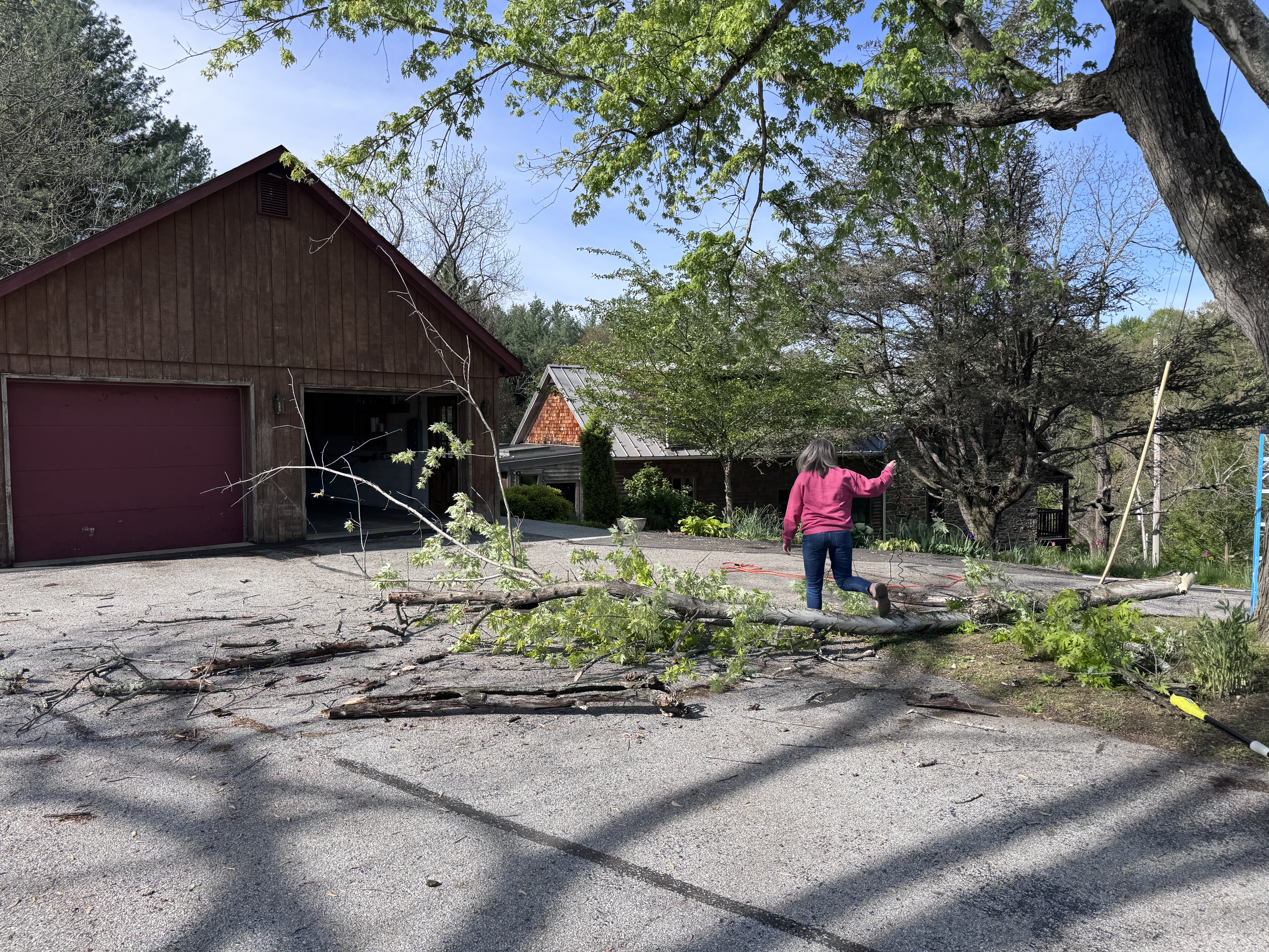 Amy surveys the fallen branch on the driveway, barn and spring trees behind her