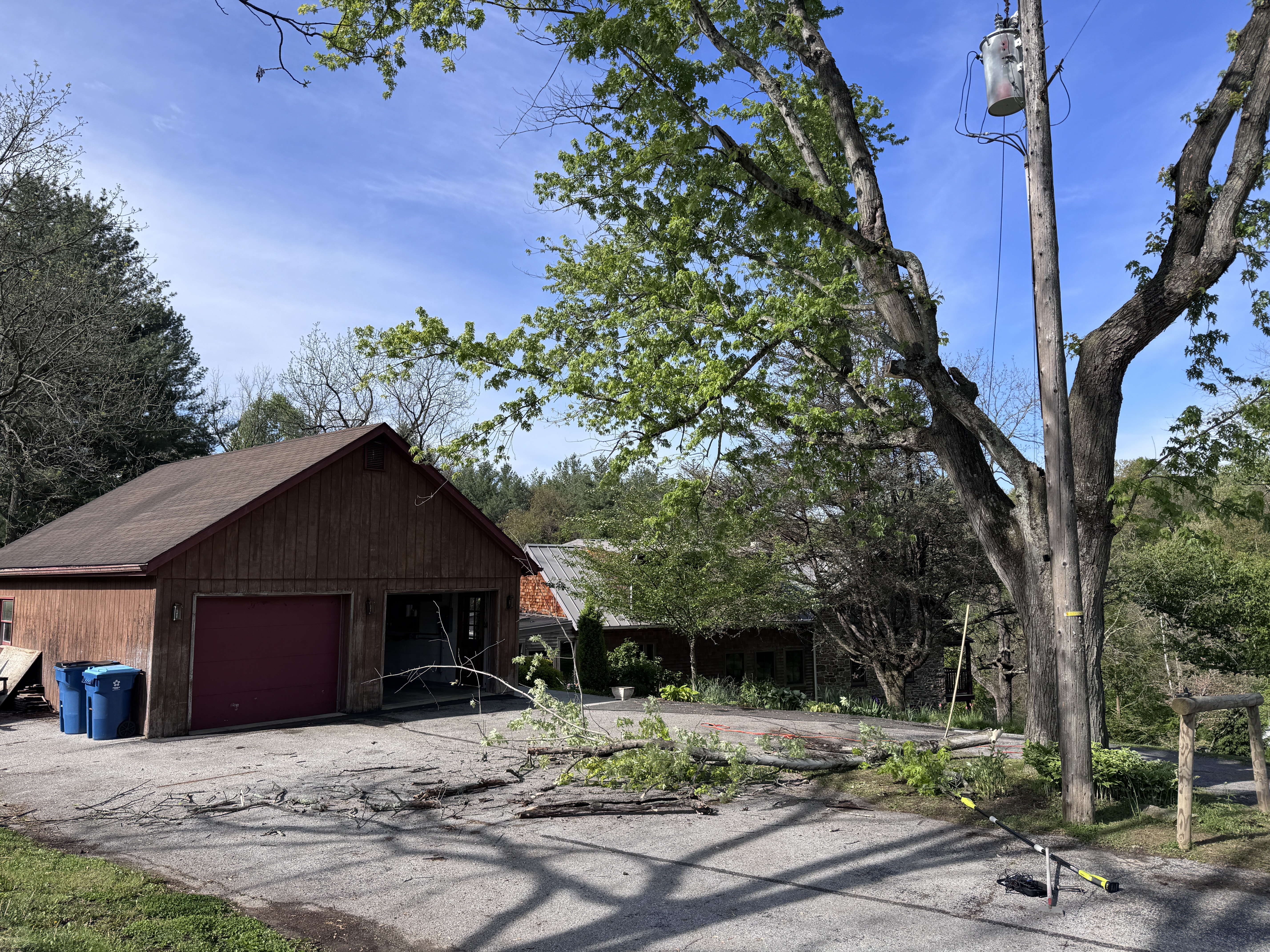 Wide driveway view with fallen branch on the ground and the tree behind it
