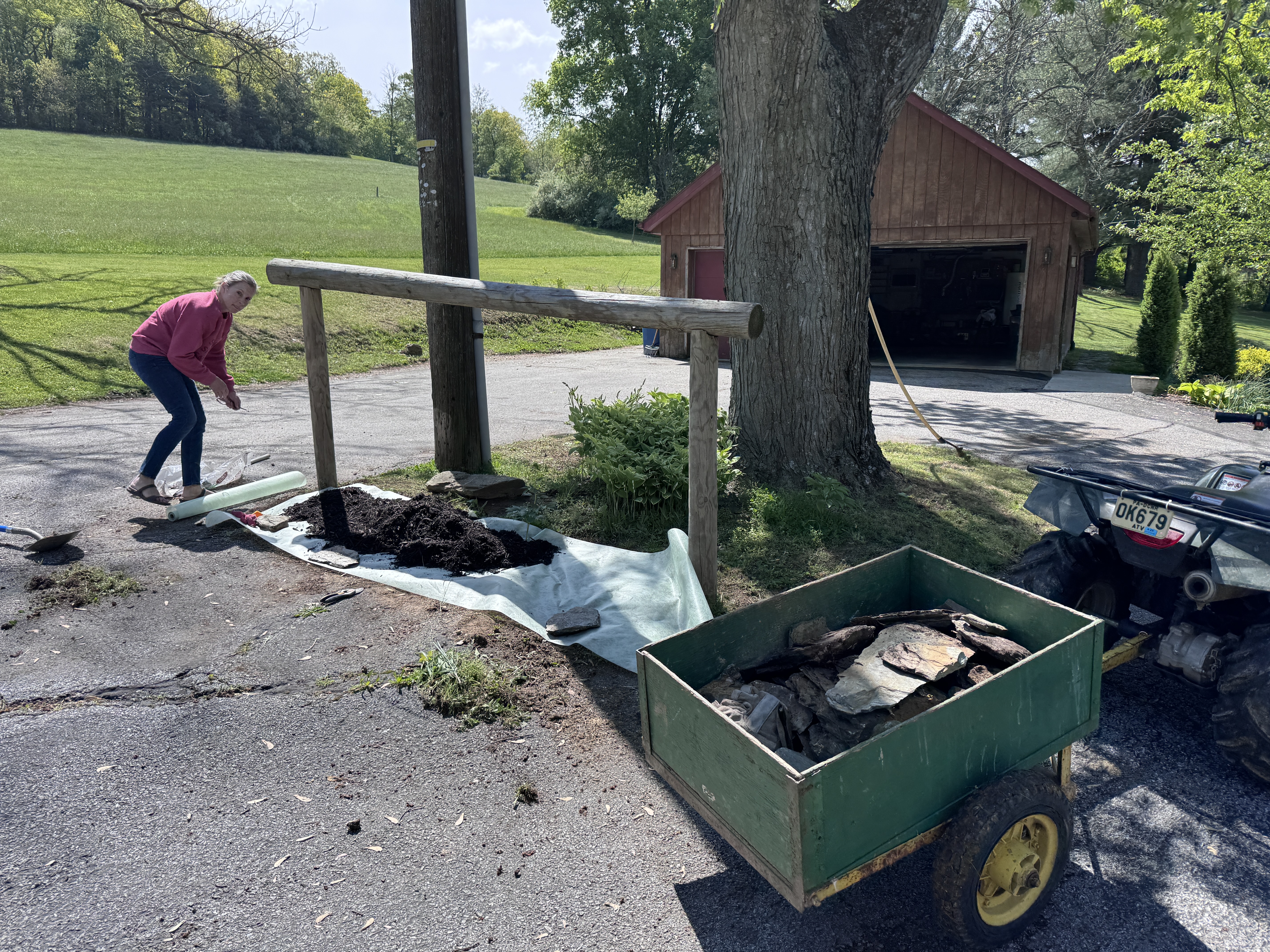 Amy beginning to spread landscape fabric on the island, tractor cart loaded with stones visible at right