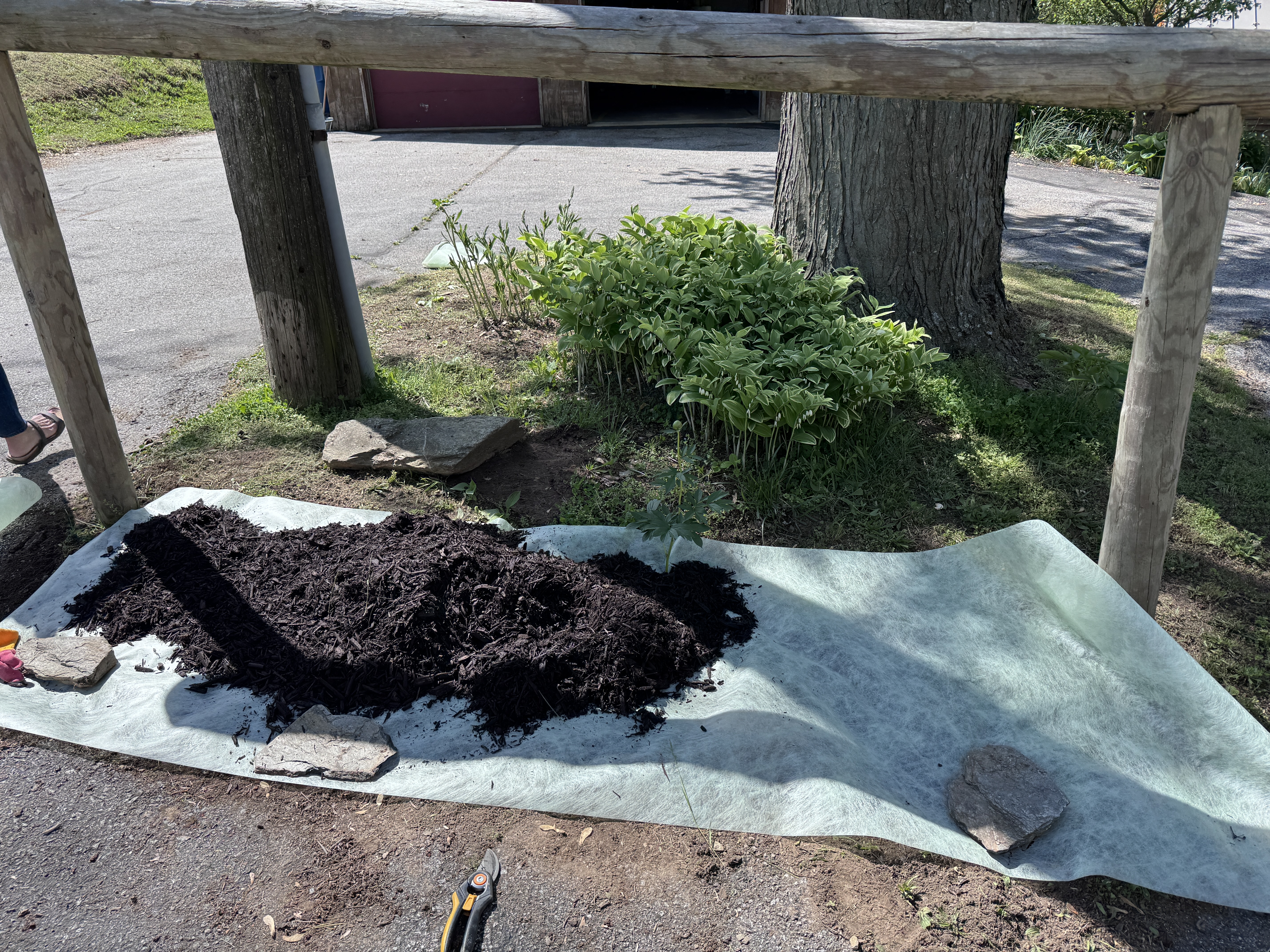 Landscape fabric laid across the island, established plants poking through, log rail frame visible