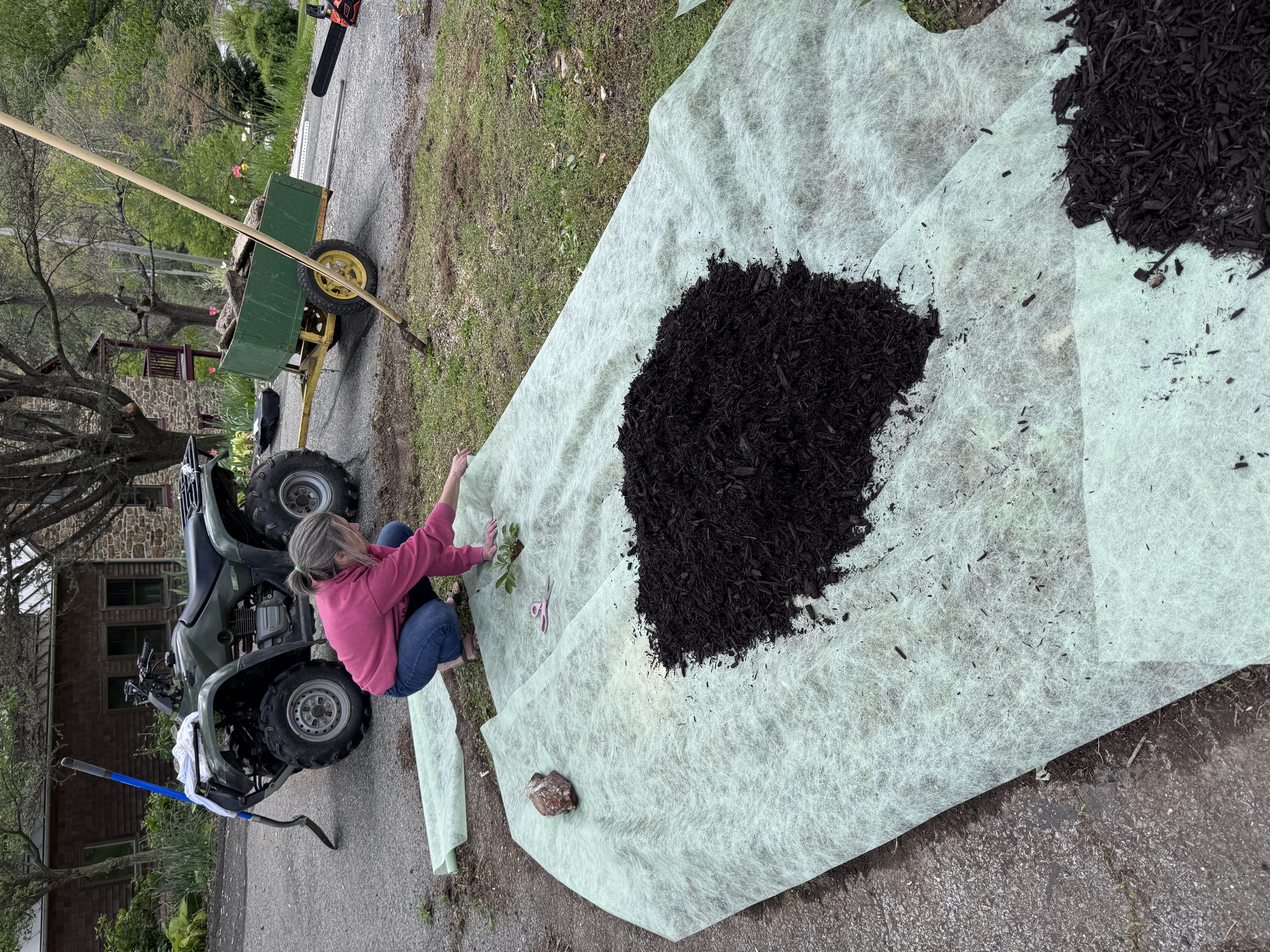 Bird's-eye view looking down at Amy spreading mulch on the landscape fabric, tractor and cart in background