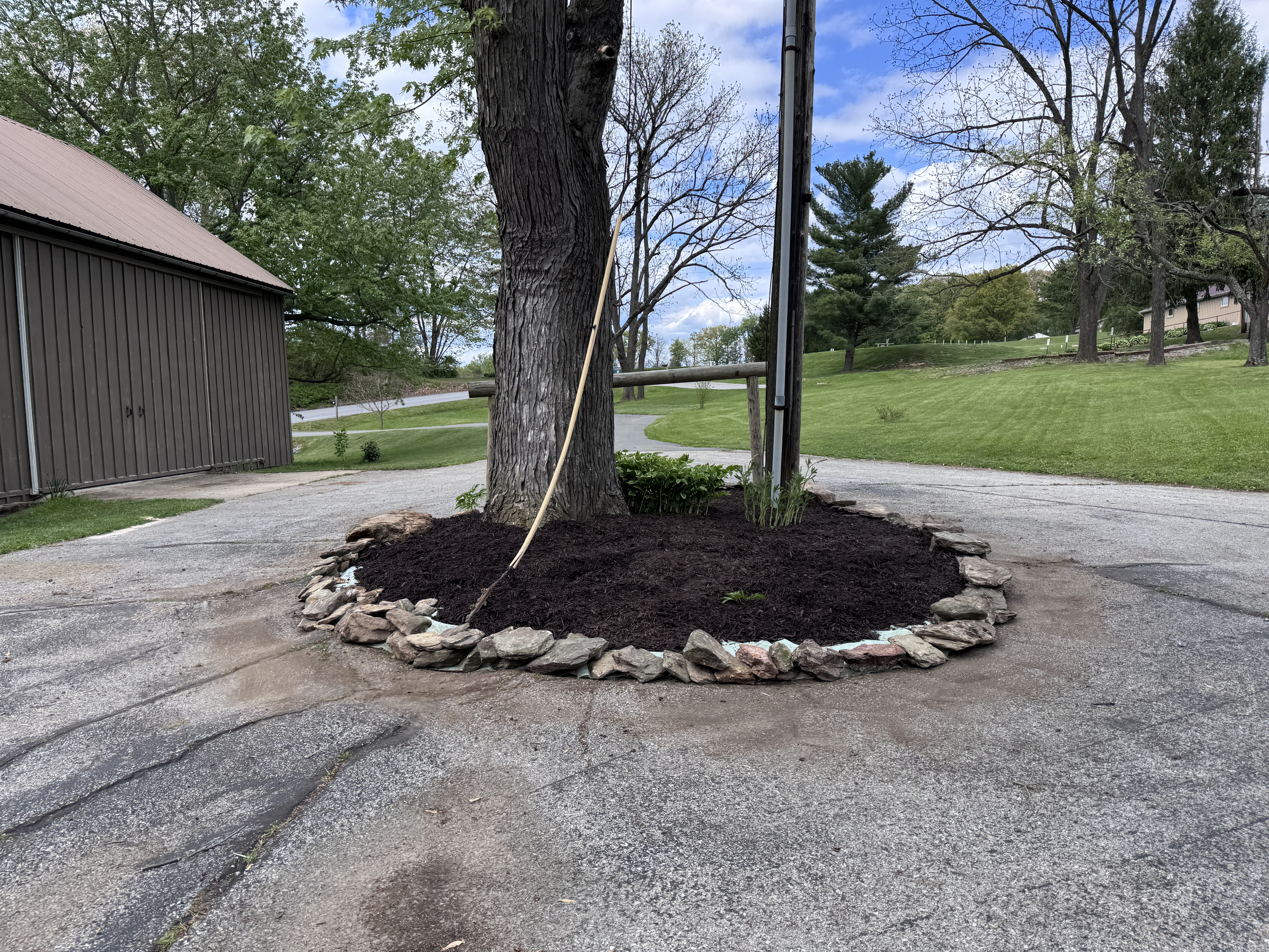 Near-finished island with complete stone ring and dark mulch, rope still hanging from tree