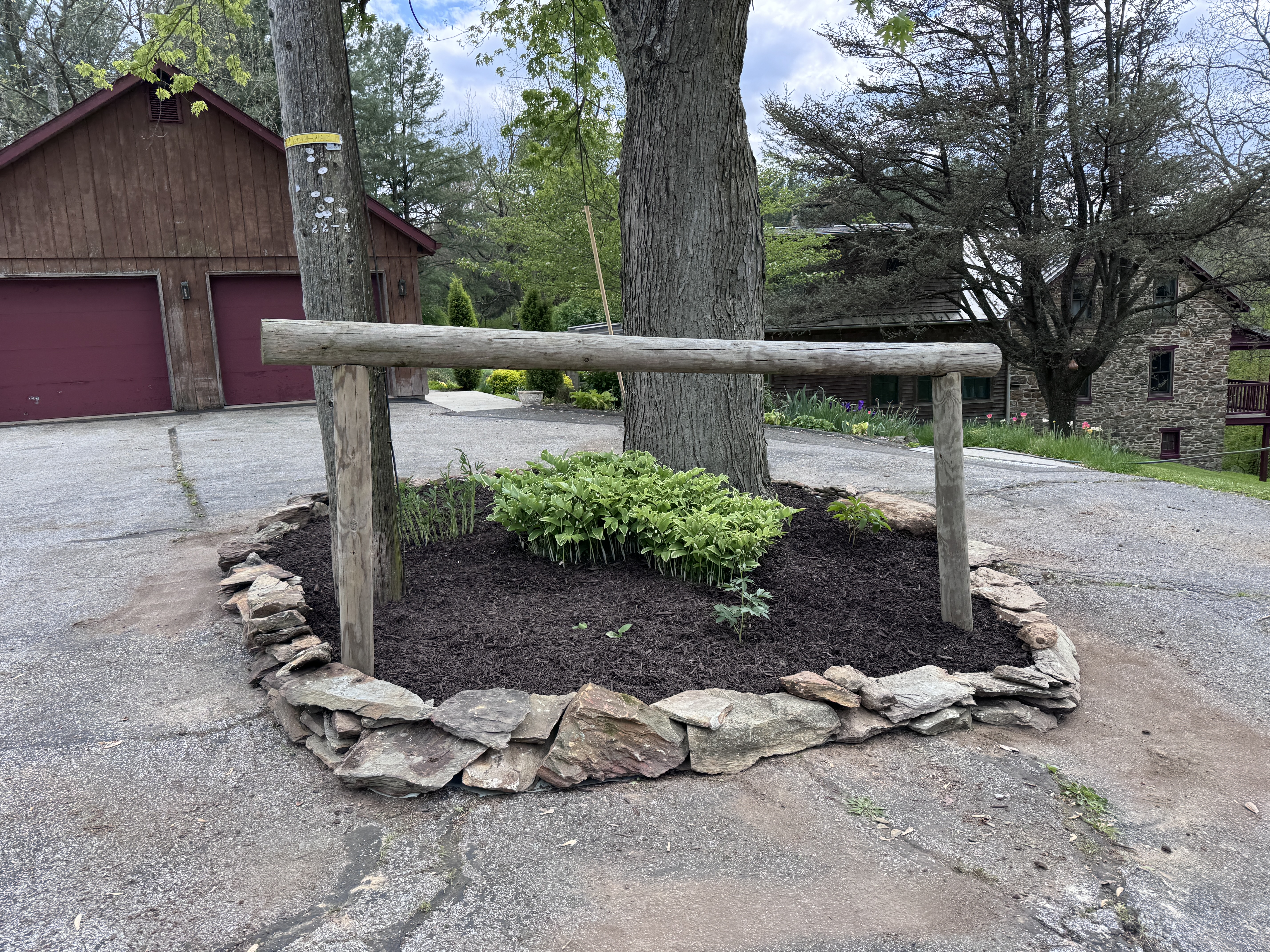 Close view of the finished island: log rail fence, dark mulch, stone wall ring, green plants, barn in background