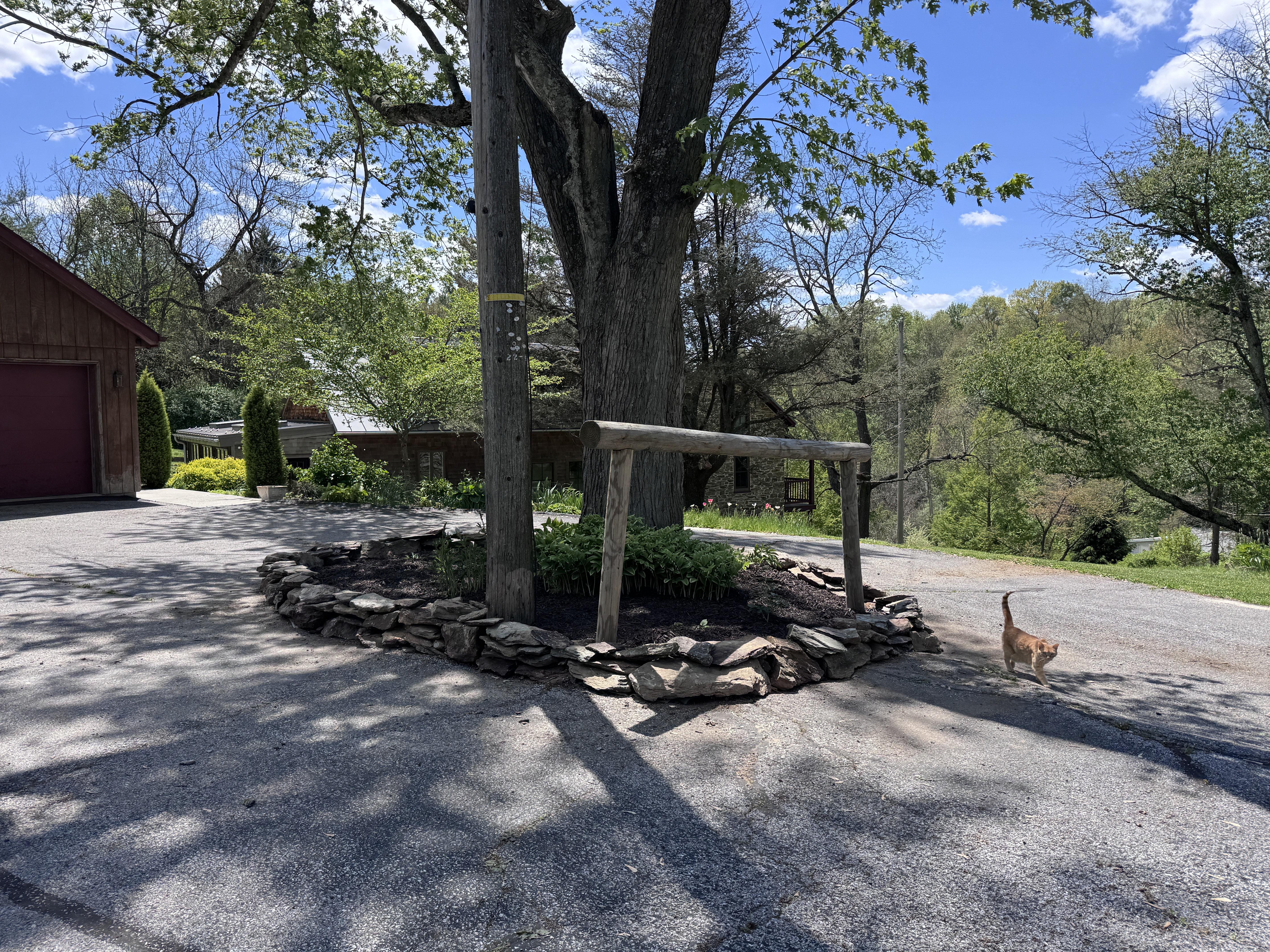 The finished island with its improved stone wall, Murphy the cat walking past in the driveway, barn and stone house in background